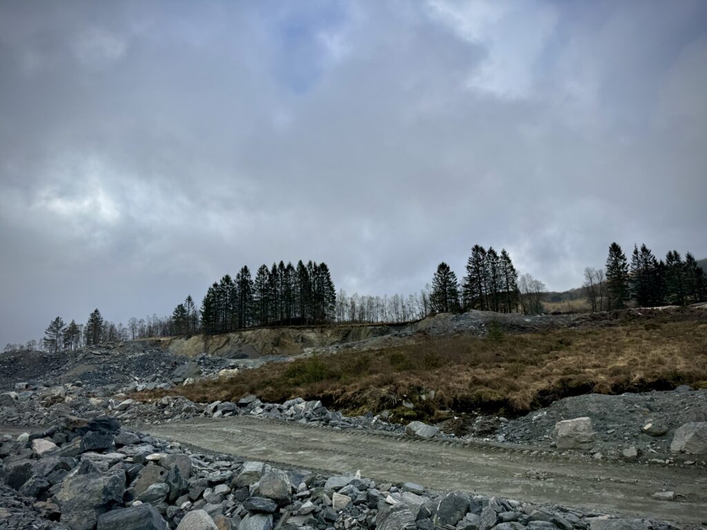 IMG_7344